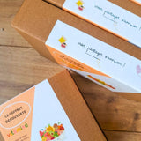 🍍Le coffret découverte - Collection vitaminée - Mission vitaminée +  kit coussin fruit
