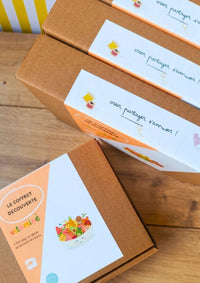 🍍Le coffret découverte - Collection vitaminée - Mission vitaminée +  kit coussin fruit